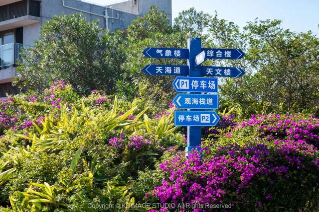 《国家地理》真的没骗我，天文台真的好震撼，难怪会被称作深圳徒步天花板！