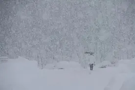 雪大到模糊！积雪最深达74厘米！四问山东半岛暴雪！图片