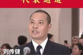 视频·代表通道丨“英雄机长”刘传健讲述机长服上四道杠的深意图片