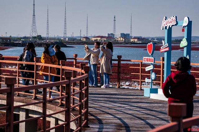 红海滩的“红”从何而来？