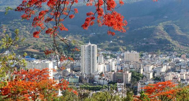 芒果季火热进行中，甜蜜时光等你来享