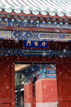 北京冬日超绝Citywalk机位上新！京味儿浓度100%！