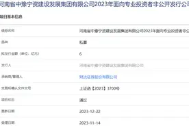 河南省中豫宁资建设发展集团拟发行6亿元公司债，获上交所通过图片