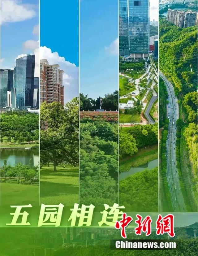 人这一辈子，一定要去一趟深圳！