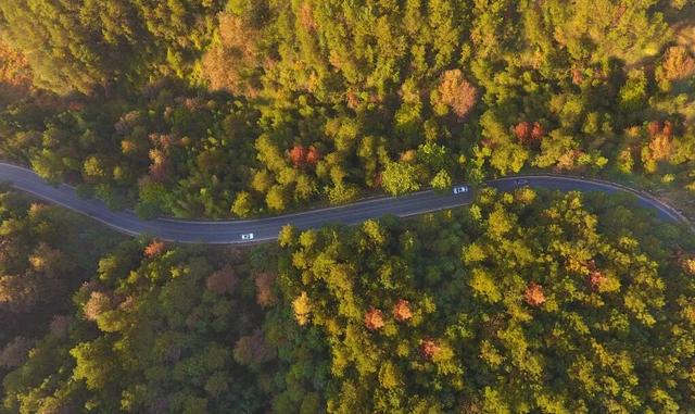 在衢江，最近必打卡的四件事，诗意又治愈！
