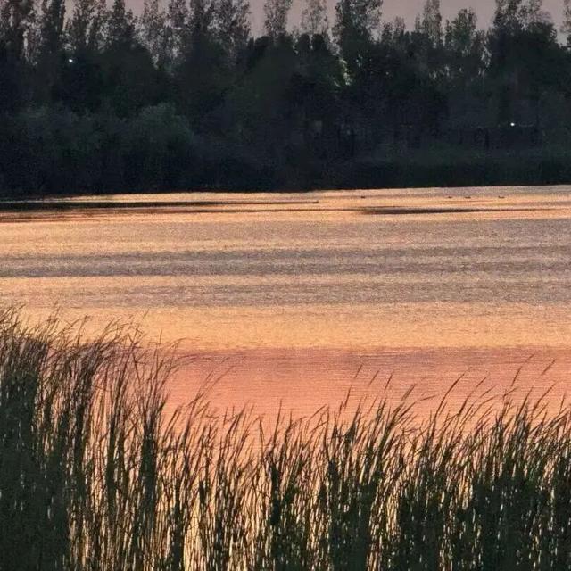 想在伊滨出片？这样拍满满故事感！