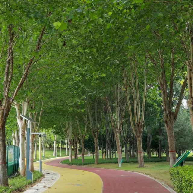 打卡遛娃健身新地标！郑州九大体育公园惠民开放→
