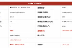 1397.5万，惠州交投矿业公司竞得惠东花岗岩采矿权图片