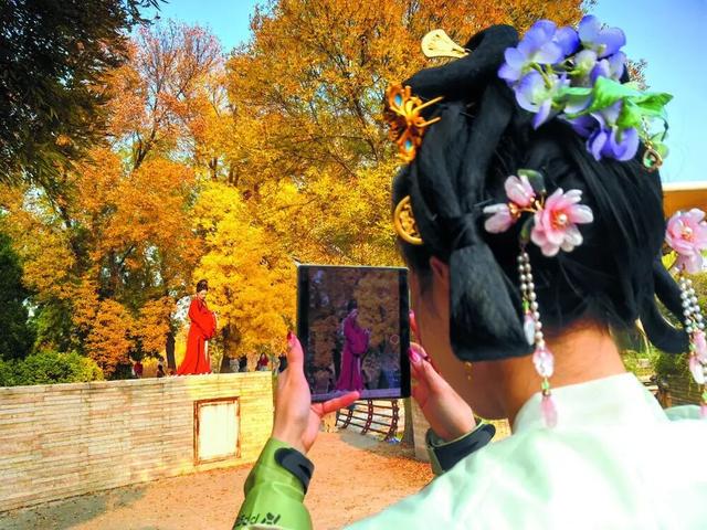 石家庄这三棵“网红”树正在霸屏朋友圈，你的打卡清单里还没有它？