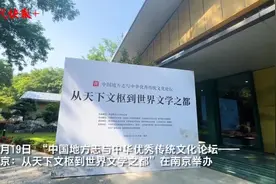 全国唯一“世界文学之都”为什么是南京？名家云集南京鸡笼山下热议图片