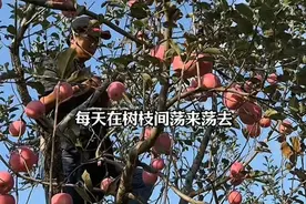 这个大学生在村里打几十份“工”，没有工资却很开心图片