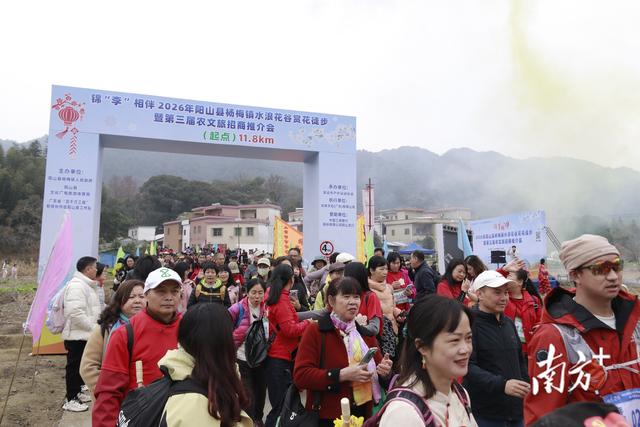 徒步赏花、招商赋能！阳山杨梅镇水浪花谷人气爆棚，奏响农文旅融合新乐章