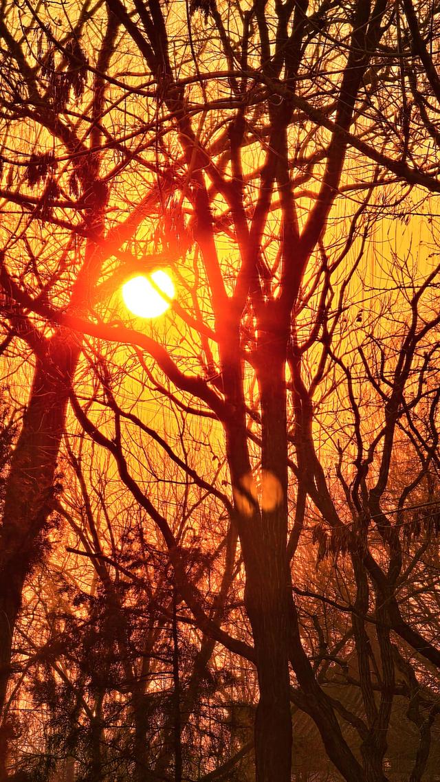 夕阳为京城加上金红色滤镜，绘就冬日诗意美景