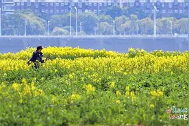 最高气温或突破30℃ 未来几天江西能入春吗？图片