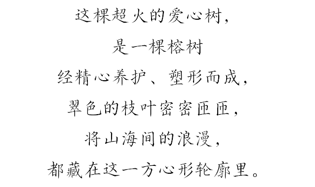 上新！珠海“顶流爱心树”浪漫升级，出片率100%！
