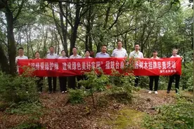 紫阳县林业局：开展树木信息标识挂牌，提升识绿爱绿护绿意识图片