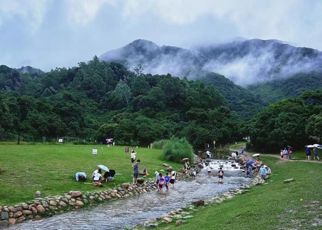 坪山地名故事丨走进石井街道，感受回荡了三百年的温情密码