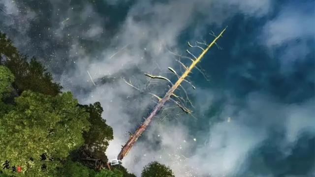 太是那个了！谭维维和丁真去过的九龙真的不一般