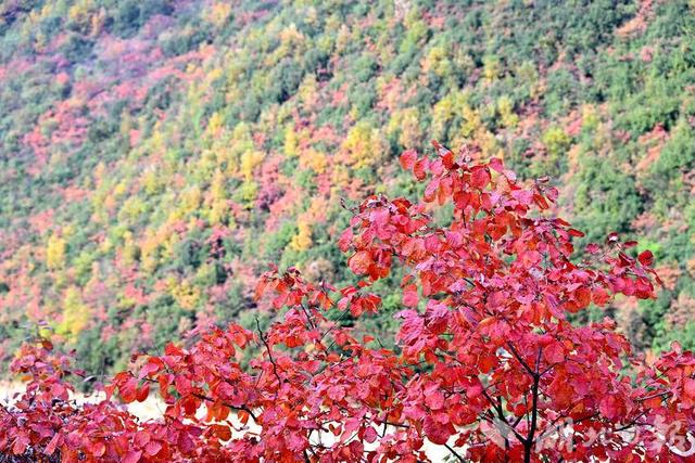郧阳：滔河水库秋景如画