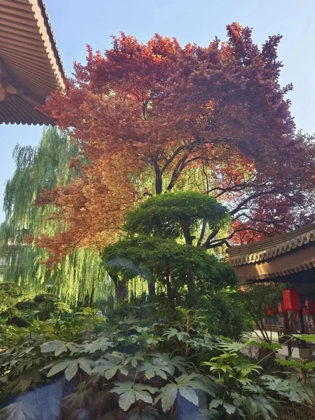 曲江这些地方入选重磅榜单！