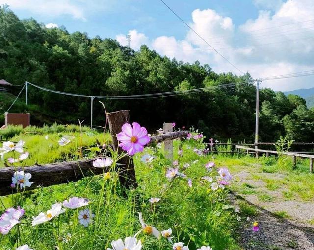 自在嵩明丨层峦碧水、林间野趣、美食垂钓……近郊旅行就来杨桥西山大村子