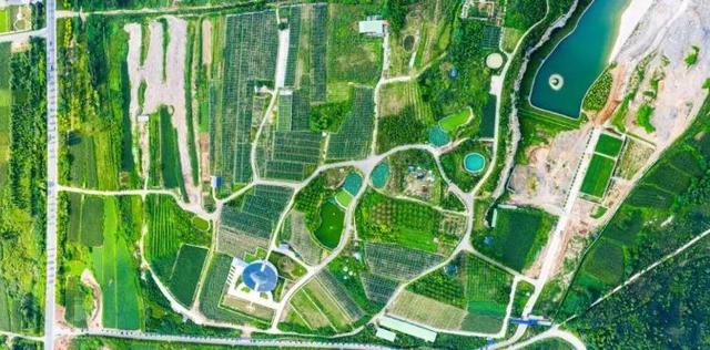 景区免费，住宿优惠！“串”山越海，鲁C等你
