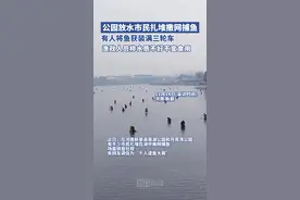 河南新蔡市民扎堆公园撒网捕鱼，渔政人员：水质不好不宜食用图片