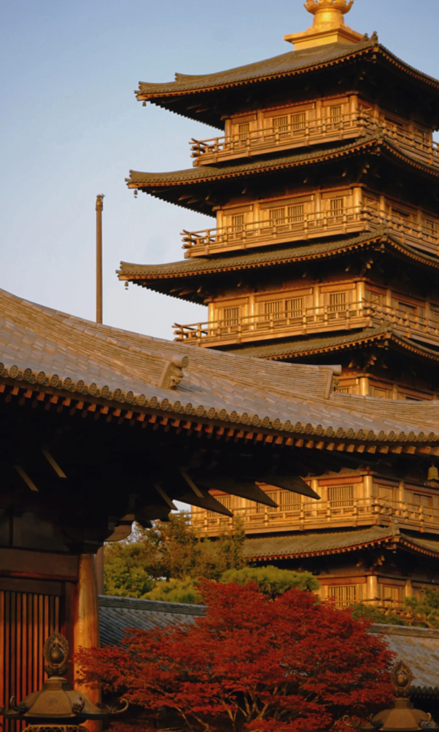 枫叶红了！上海这座古建筑，竟然能一秒穿越回大唐→