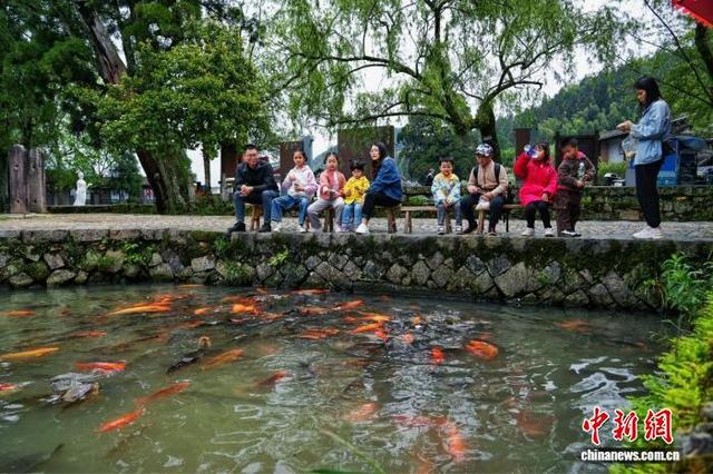 创新“旅居便民食堂” 福建周宁“花式宠客”升级旅游体验