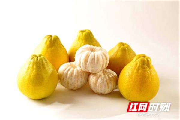 文化永州丨嶷山阿云：柚想你一一江永香柚