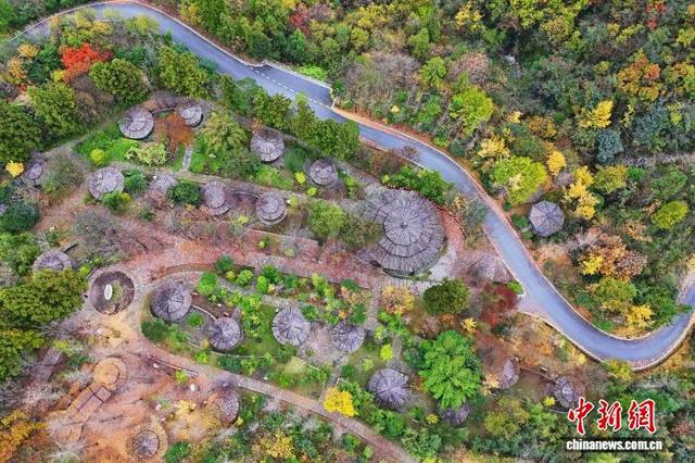 湖北神农架“上线”层林尽染美景