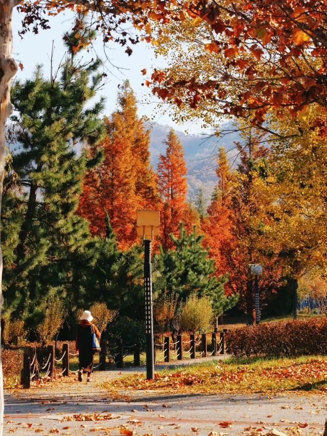 还在找威海初冬小众打卡地？这条河岸藏着惊喜