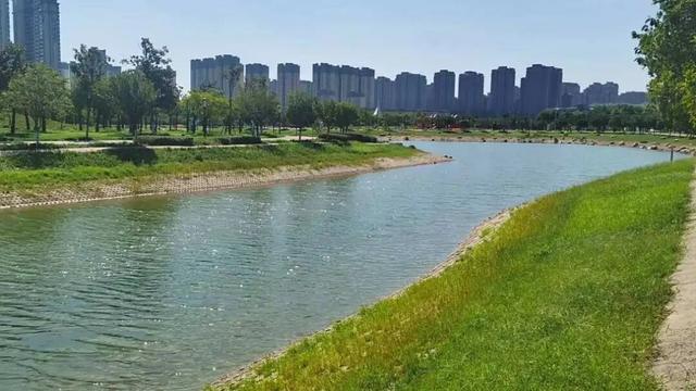 豫见两山 绿色答卷丨生态之旅——打卡“美丽河湖”天鹅湖、饮马河、白龟湖