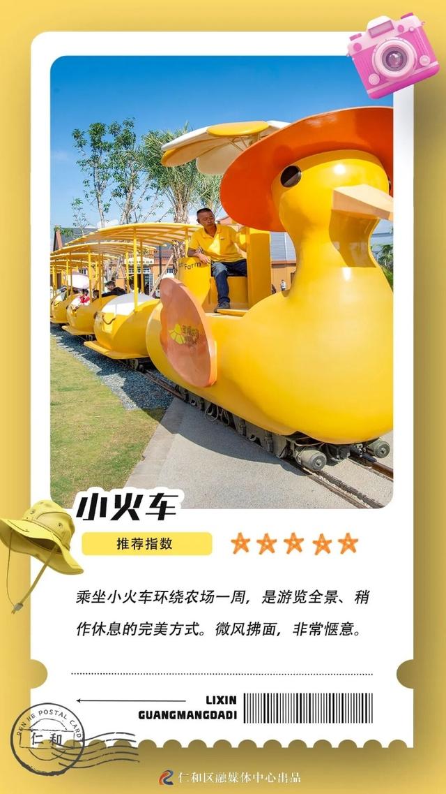 秋假去哪儿？仁和这个地方才是宝藏打卡点！