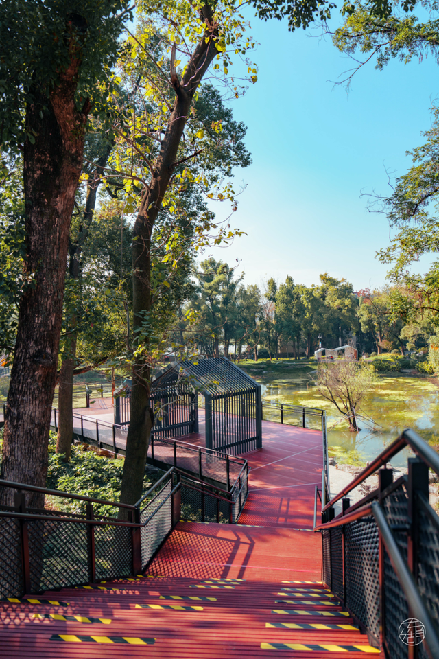 漫步彩虹、栈道追风，东湖徒步新线路美翻了！