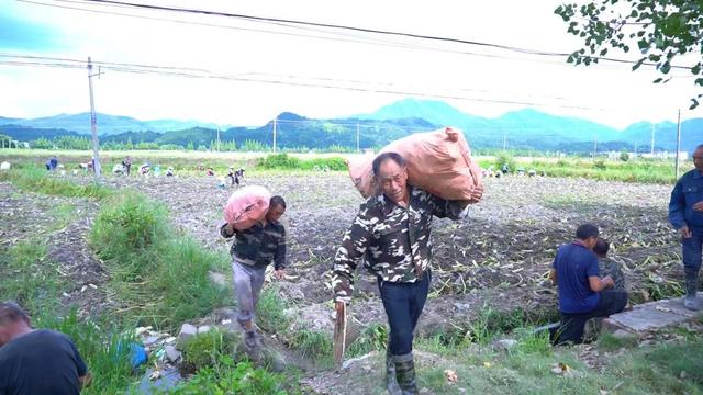 铅山县红芽芋电商直播带货大赛等你来挑战