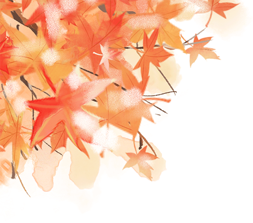 登高望远在龙虎，重阳遇见好秋光！