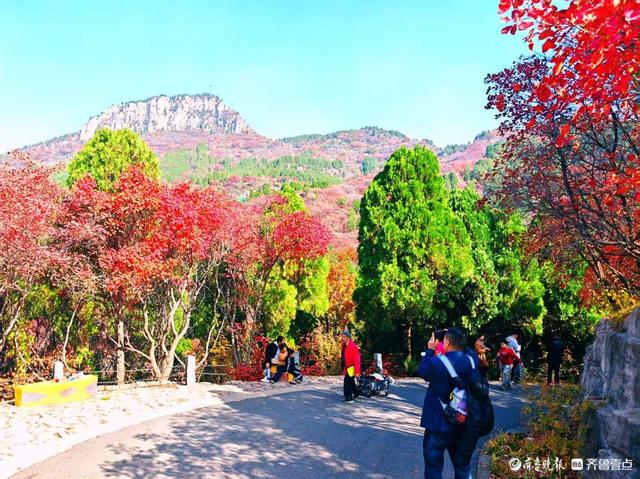 醉美深秋！济南红叶谷红叶引来大批游客