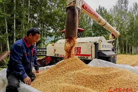 两当：农“墨”重彩绘“丰”景图片