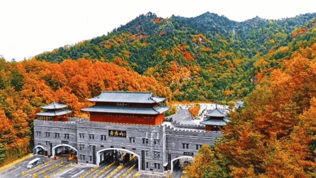 待天晴，看洛阳漫山姹紫嫣红→