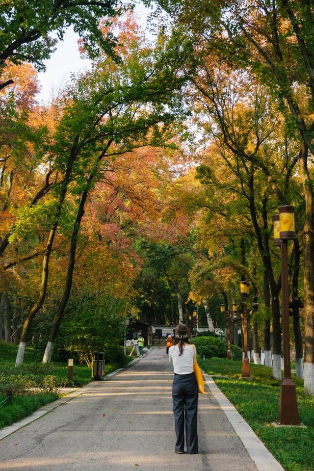 东湖秋日图鉴②｜邂逅听涛，定格秋的独家记忆