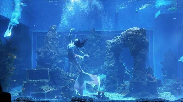 “侠义襄阳”双节焕新颜，点亮“有文化、有温度、有侠义”之城