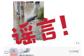 长隆鳄鱼出逃？这些均为谣言→图片