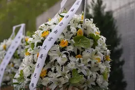 南京大屠杀死难者清明祭 幸存者仅剩28人图片