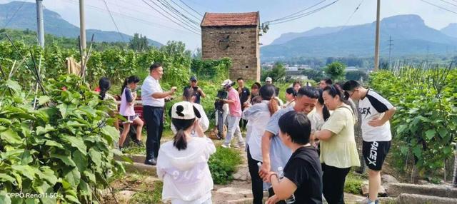 自驾行•游乡村｜济南线路推荐：市中、南部山区篇