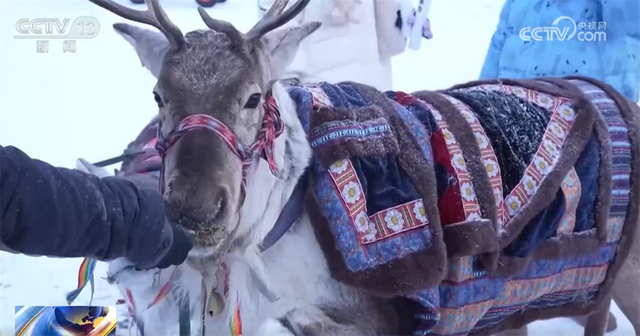 “冷”资源持续释放“热”效应 冰雪经济打造多元融合消费“新引擎”