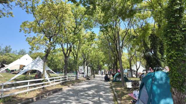 域见上海·域见奉贤｜马年遛娃好去处！奉贤这家马术俱乐部，能骑马、DIY马蹄铁……还藏着冠军马