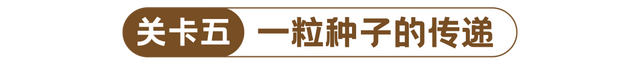 国庆研学招募 | 郑和小队喊你加入“博物馆奇妙夜”