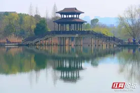 醉美踏春行丨一样的湿地，却有不一样的洋湖图片