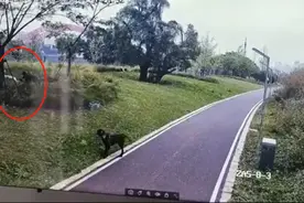 江西赣州4条猎犬攻击撕咬女子和3岁女儿，两涉案人员被采取刑事强制措施，家属发声图片